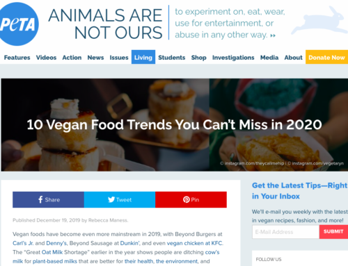 10 Vegan Food Trends You Can’t Miss in 2020