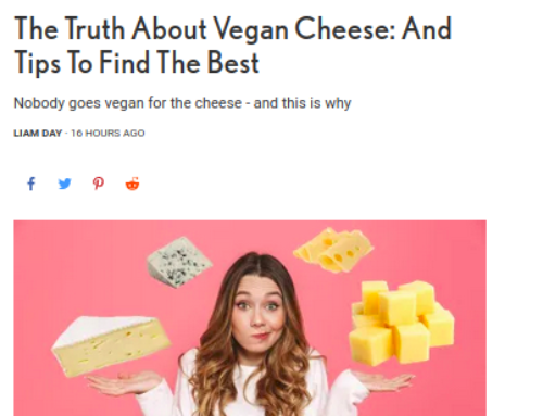 PBN : The Truth About Vegan Cheese: And Tips To Find The Best